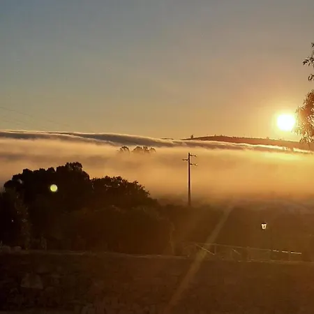 Chou Da Covinha Arrimal