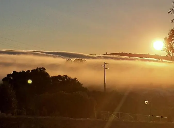 Chou Da Covinha Arrimal